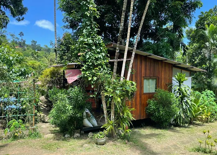 Happy Hippy House7